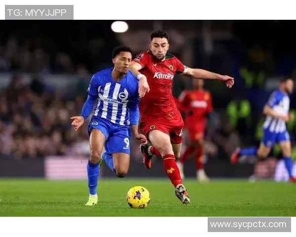 布莱顿主场迎战卡迪夫全力争胜双方战术对决引人关注